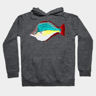 Red Rainbowfish Hoodie